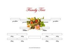 1000 images about Family Tree on Pinterest