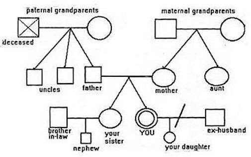 3 Generation Family Genogram