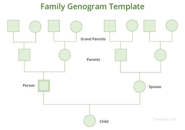 Genogram Template 16 Free Word PDF Documents Download
