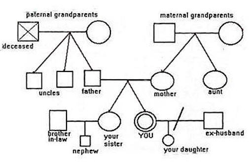 How to make and use a family "genogram" map