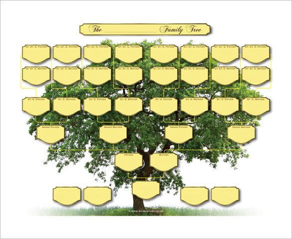 5 Generation Family Tree Template – 10 Free Sample
