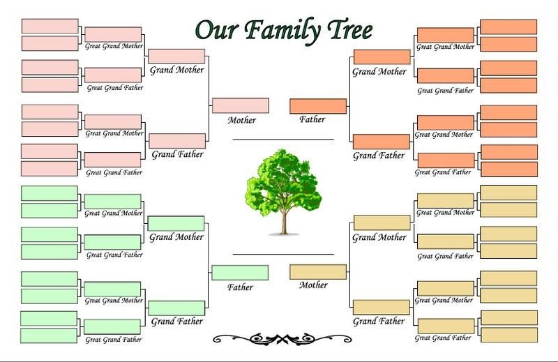 5 Generation Family Tree Template family tree template