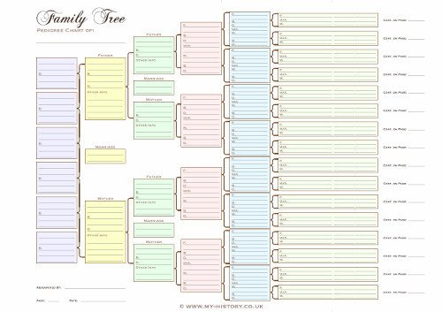 A3 Six Generation Family Tree Chart Pedigree in Pastel
