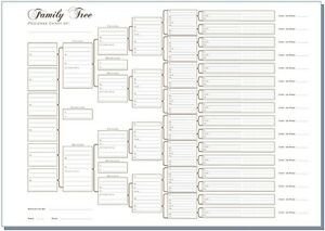 A3 Six Generation Family Tree Chart Pedigree pack of 3