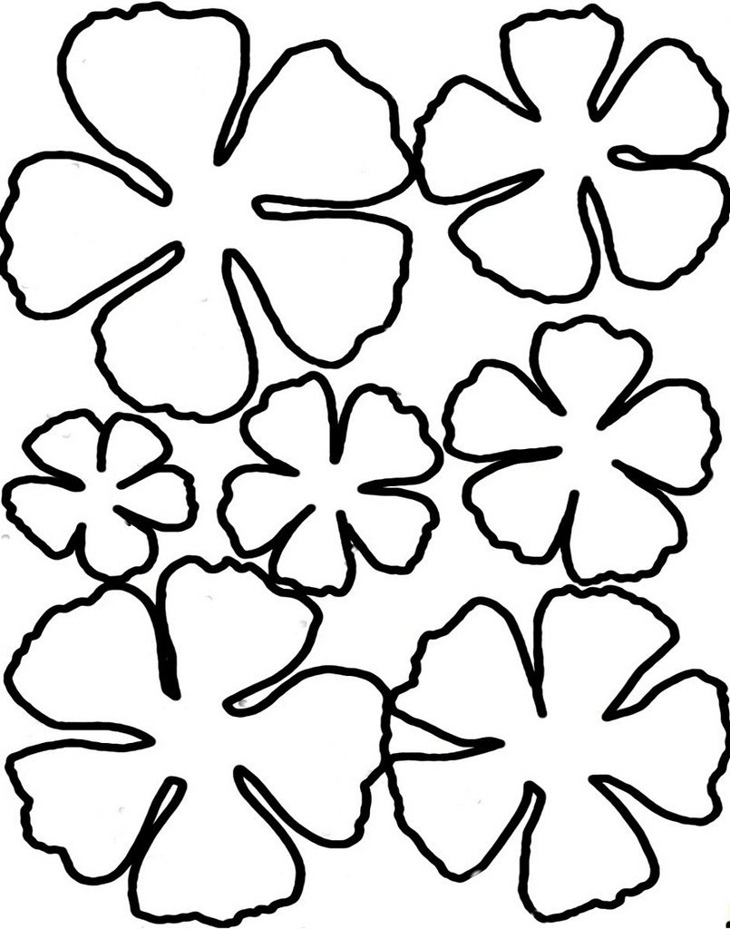 5 Petal Flower Template Free Printable Printable Pages