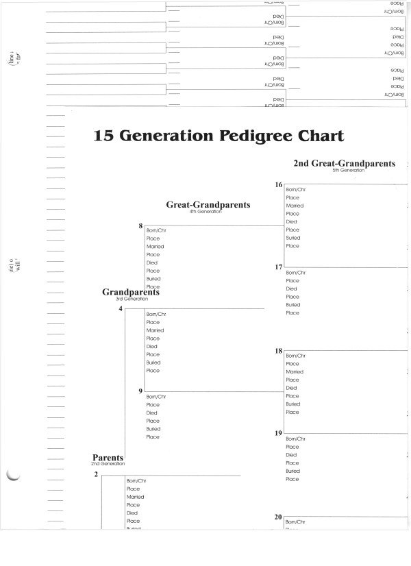 15 Generation Pedigree Chart