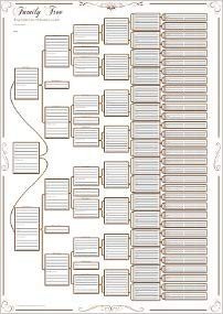 Family Tree Chart 7 Generation Pedigree Chart Amazon