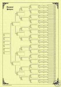 Family Tree Chart 7 Generation Pedigree Parchment
