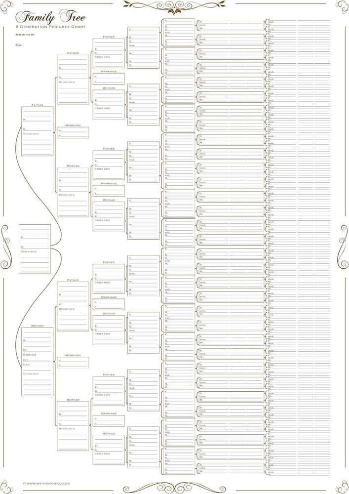 Family Tree Chart 8 Generation Pedigree Chart Rolled in