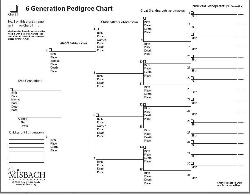 Six Generation Chart by ©Misbach