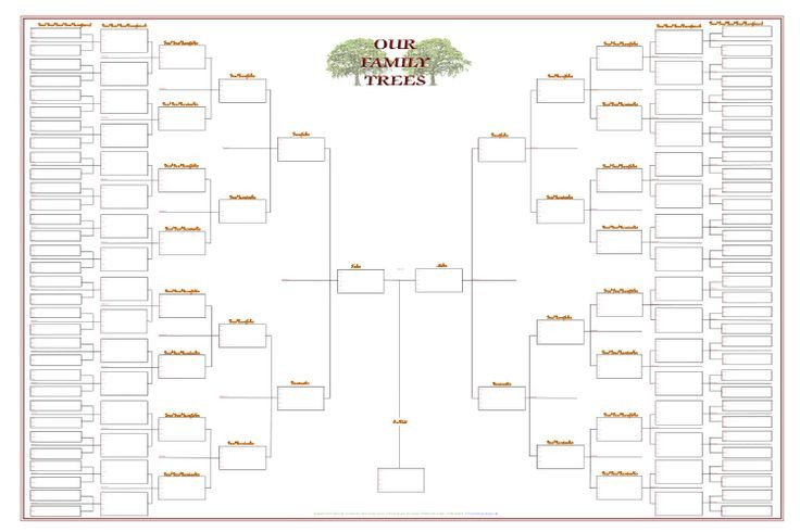 one branch family tree chart template