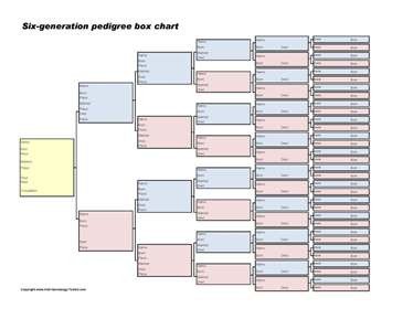 This free printable genealogy form is also known as a