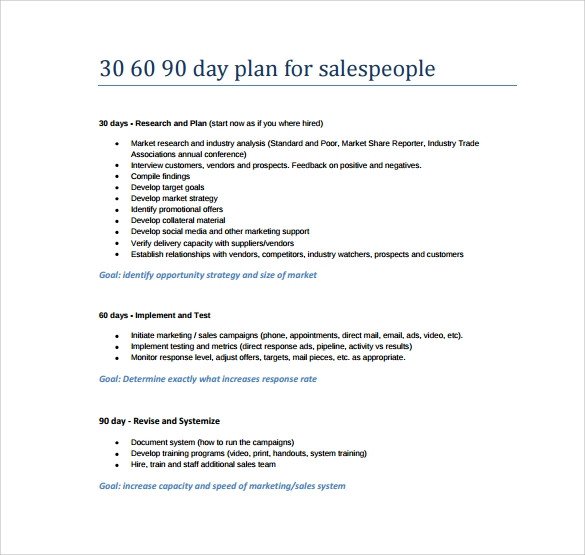 14 Sample 30 60 90 Day Plan Templates Word PDF