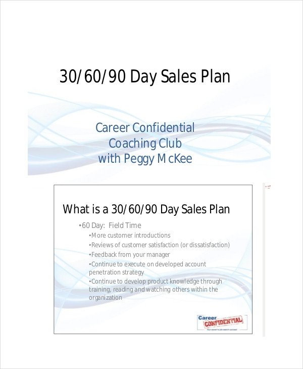 19 Examples of 30 60 90 Day Plans Word PDF