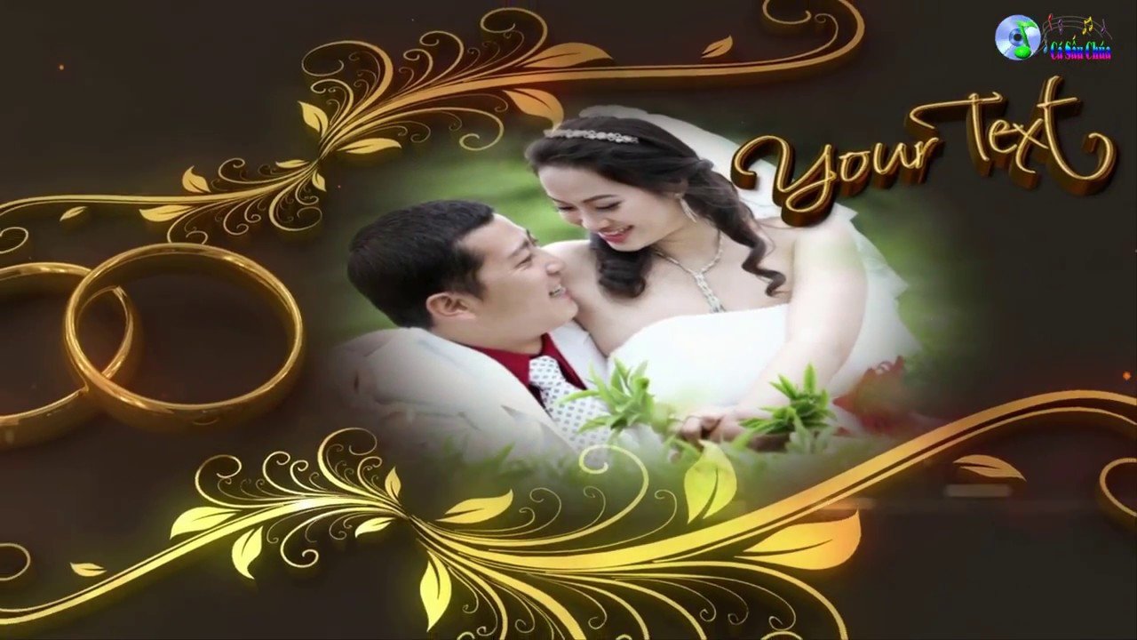 Free Download After Effects Templates I Project Wedding I