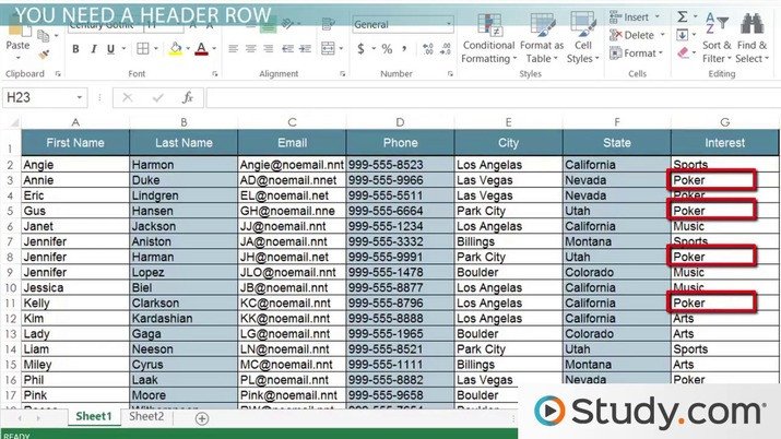 How to Filter Records and Data in Excel Video & Lesson