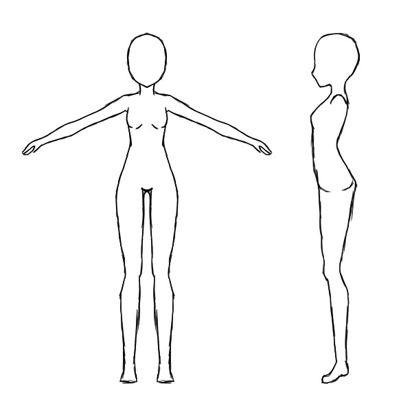 base female body reference sheet by jugapugz on DeviantArt