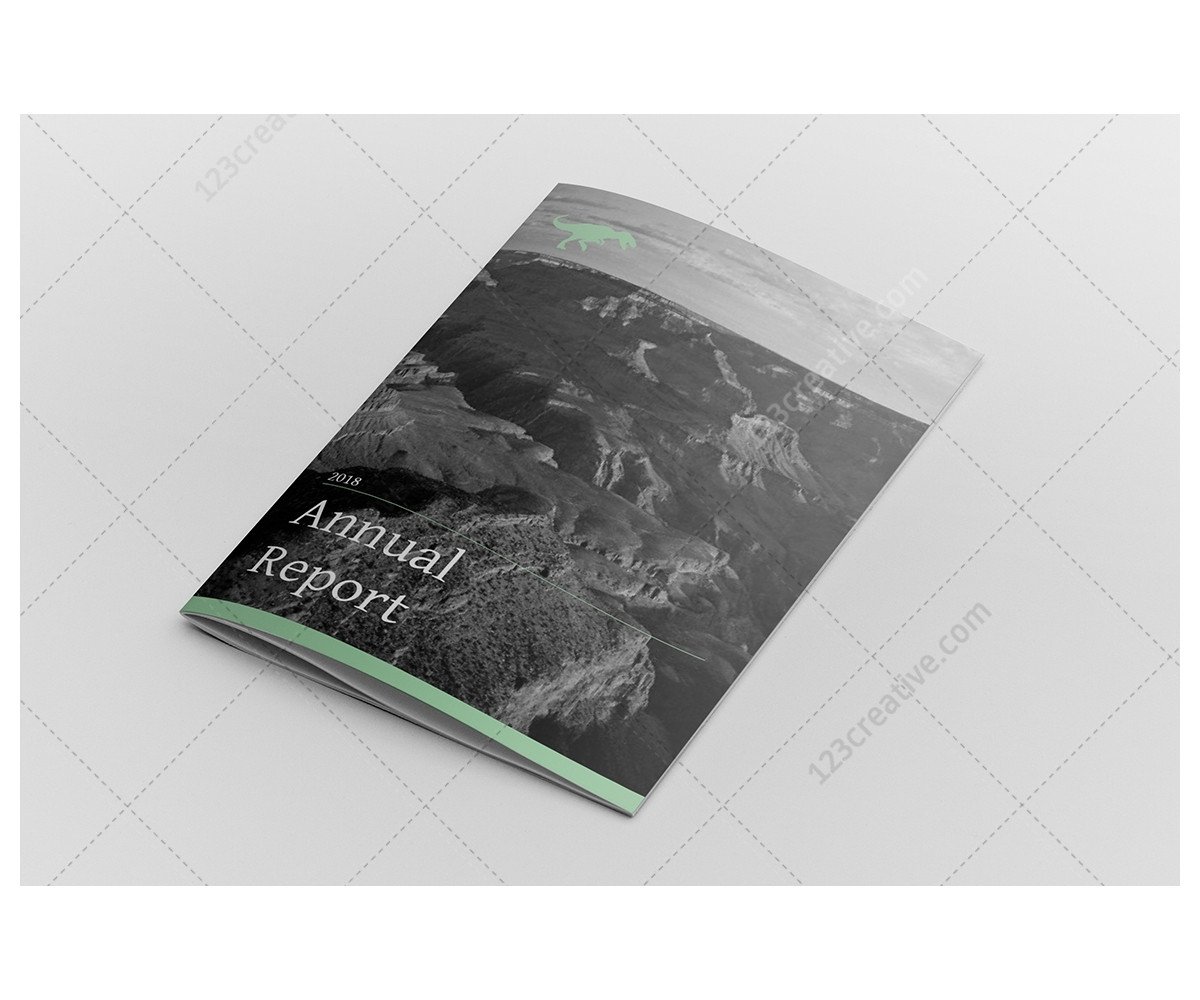 Annual Report Design InDesign Template Professional