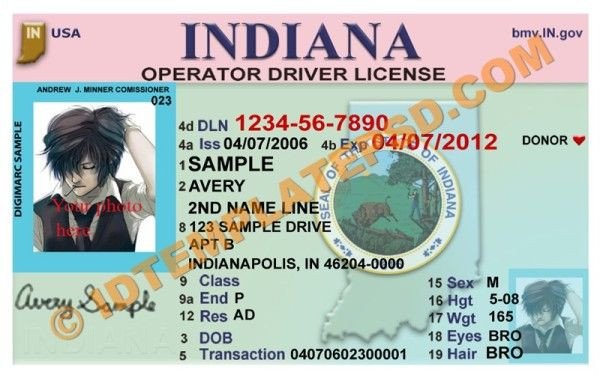 31 best Driver License Templates photoshop file images on