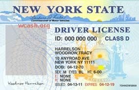 31 best images about Driver License Templates photoshop