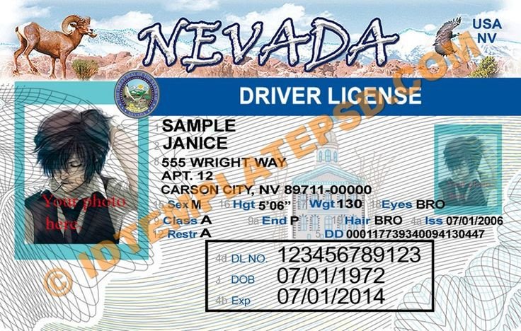 33 best Driver License Templates photoshop file images on