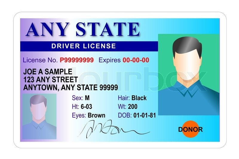 Generic male state driver license Stock