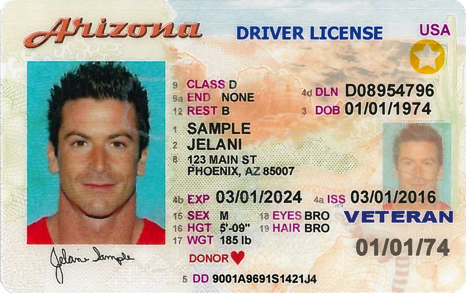 How to Renew an Arizona Driver License