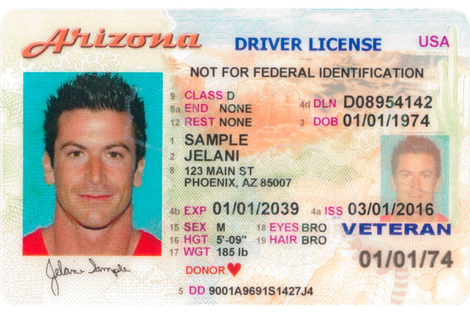 What Does an Arizona Driver s License Look Like
