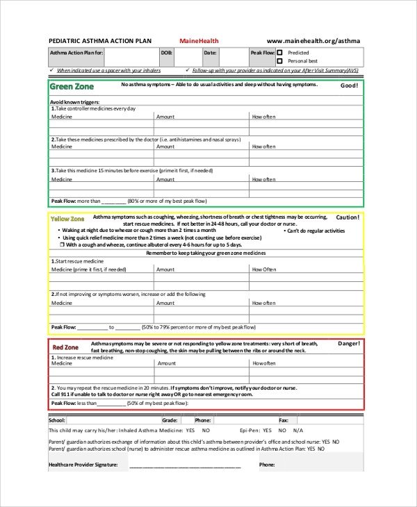 Sample Action Plans 46 Examples in PDF Word
