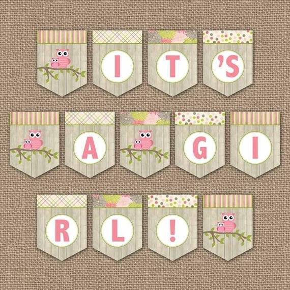 Owl Baby Shower Banner It s a girl digital PDF file
