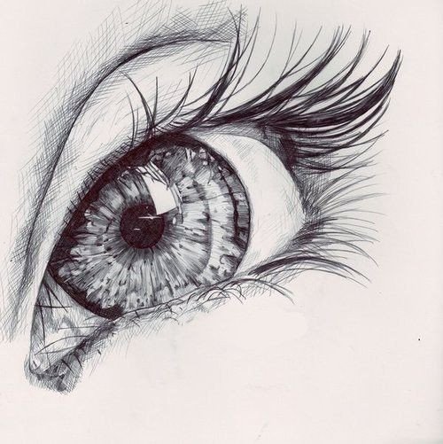 25 best ideas about Pencil drawings on Pinterest