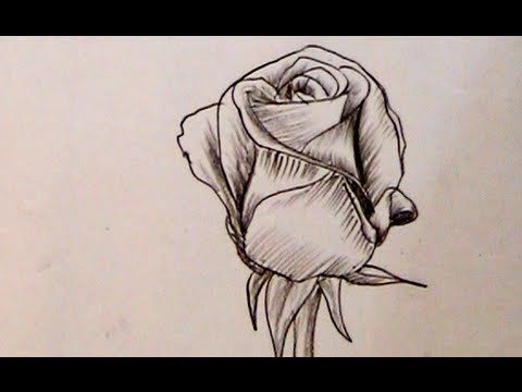 How to Draw a Beautiful Rose with Charcoal Pencil