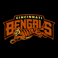 Cincinnati Bengals 05 Stoneykins Pumpkin Carving