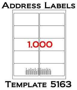 1000 Laser Ink Jet Labels Blank Address 100 sheets 4"x 2