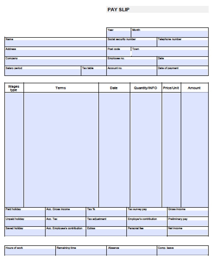 Download Blank Pay Stub Templates Excel PDF