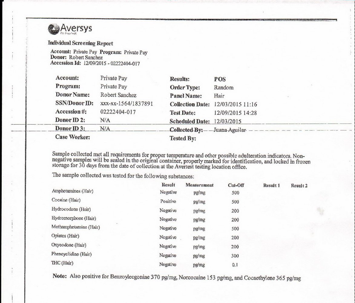 fake std test results template Fake Std Test Results