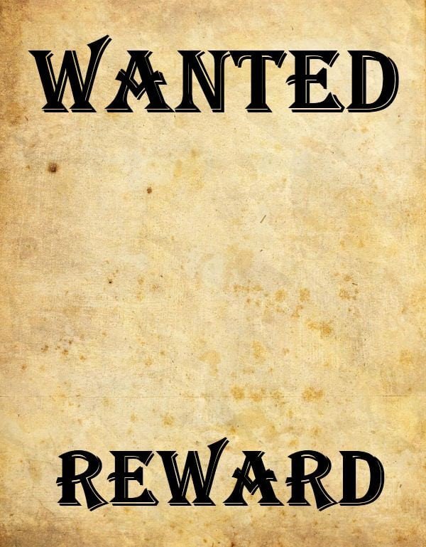 9 Wanted Poster Templates Word Excel PDF Formats