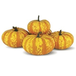 Pumpkins Ve ables