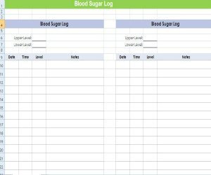 Your Blood Sugar Log Sheet Guide