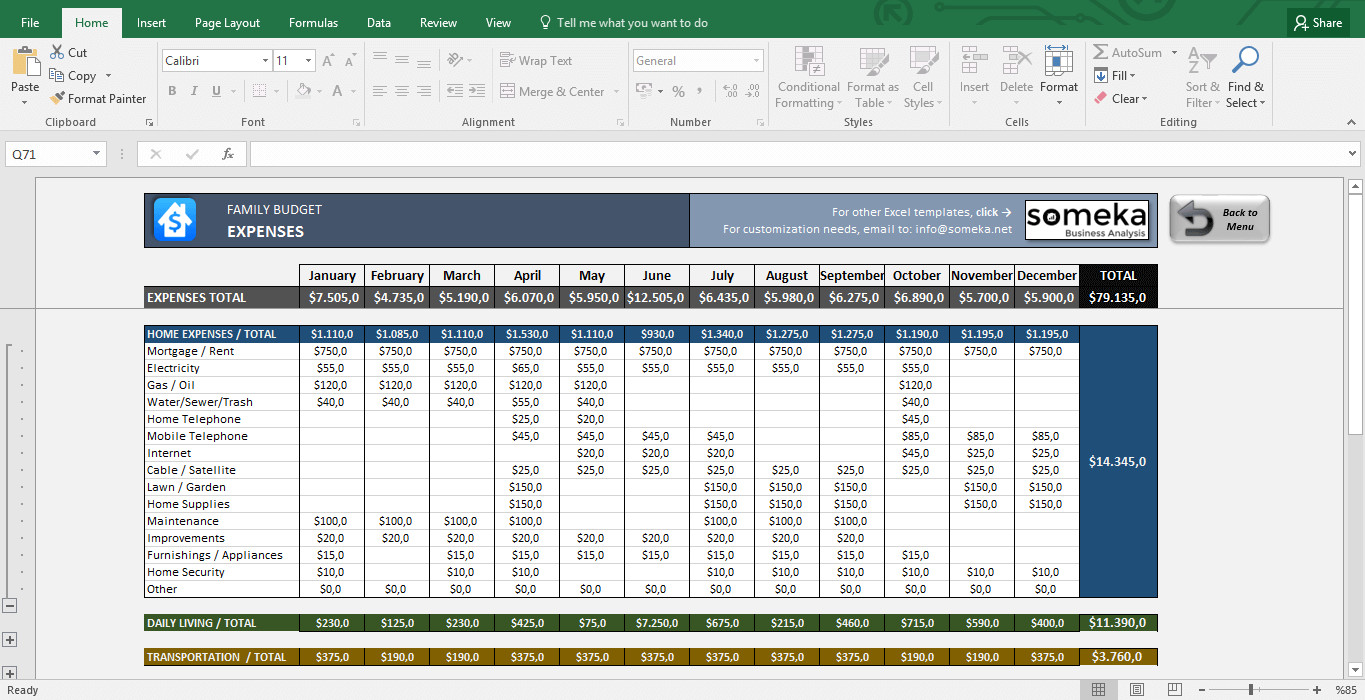 Family Bud Template in Excel
