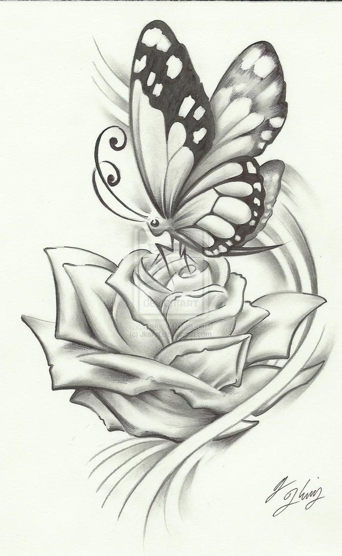 25 best ideas about Butterfly Drawing on Pinterest