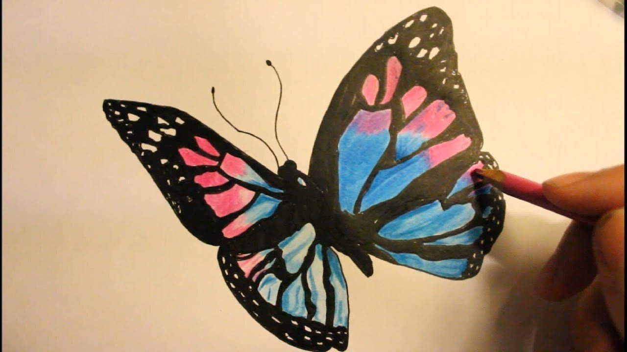 How to Draw a Butterfly Easy Step By Step Wings With