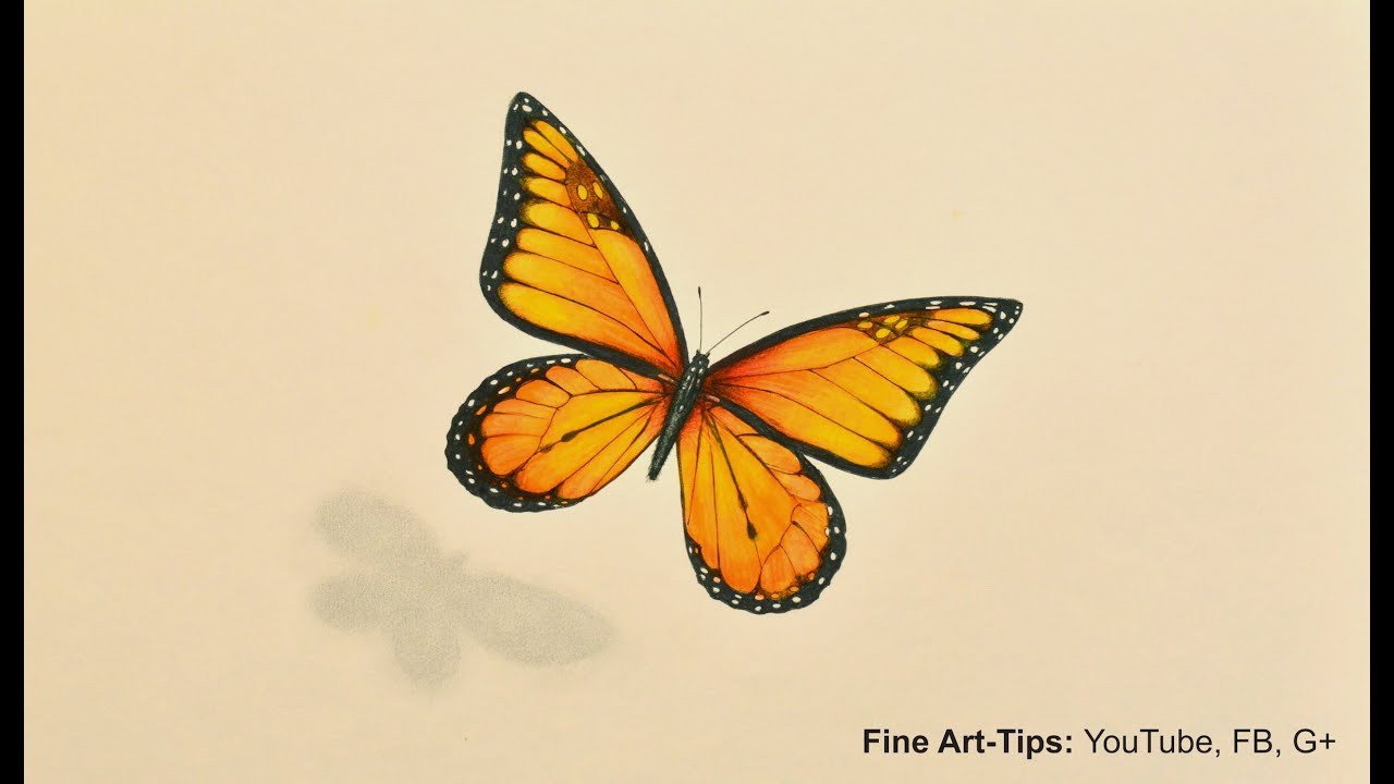 How to Draw a Monarch Butterfly With Markers and Color