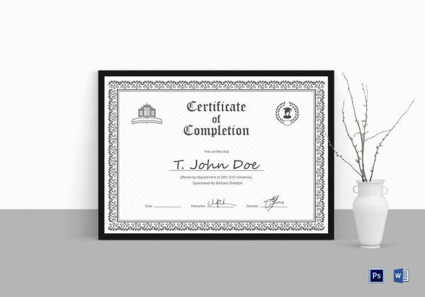 Certificate of pletion 25 Free Word PDF PSD