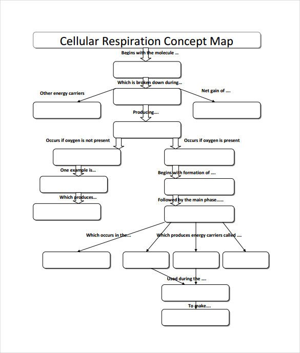 Sample Concept Map Template 10 Free Documents in PDF Word