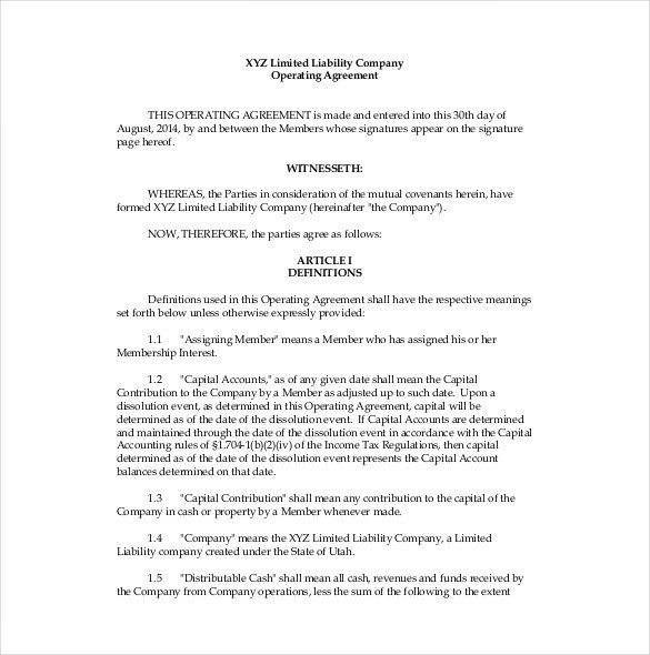 Operating Agreement Template 12 Free Word PDF Document