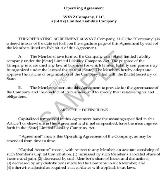Operating Agreement Template 12 Free Word PDF Document