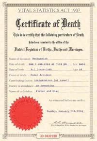 Sample Fake Death Certificate