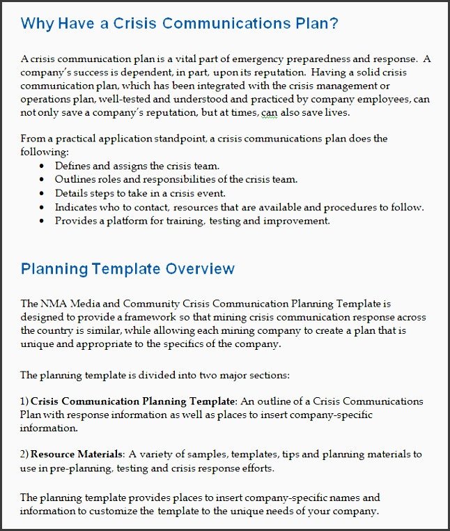 9 Editable Project Team munication Planner Template