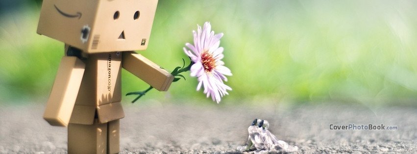 Cute Danbo And Frog Friendship Cover Creative